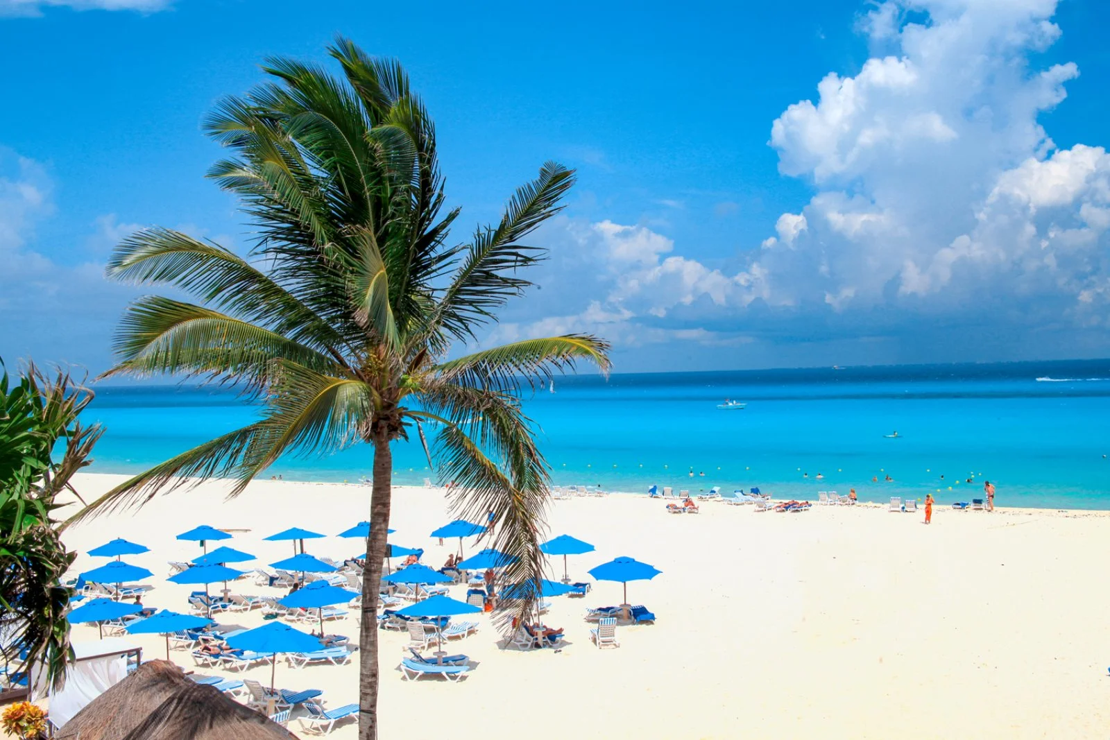 THE REEF PLAYACAR – Playa del Carmen