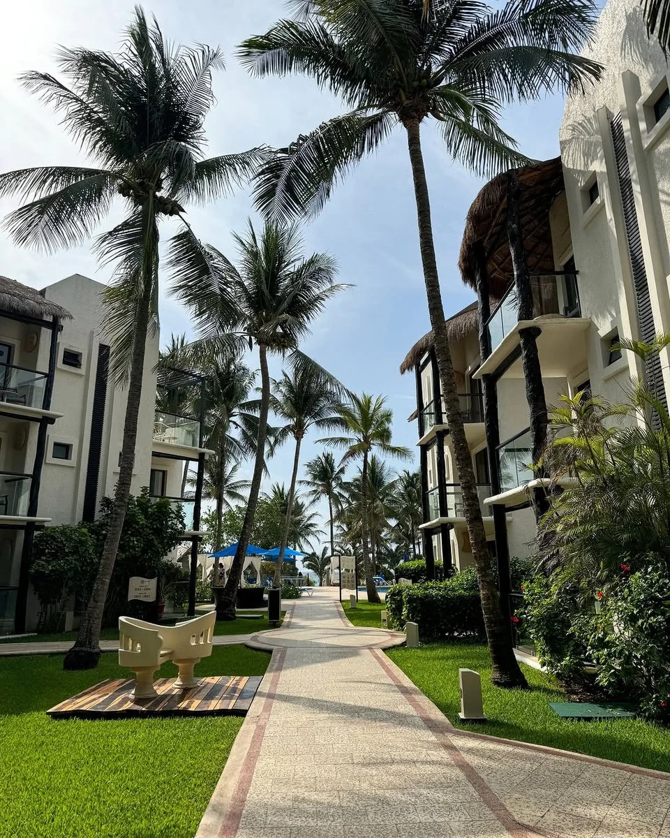 THE REEF PLAYACAR – Playa del Carmen