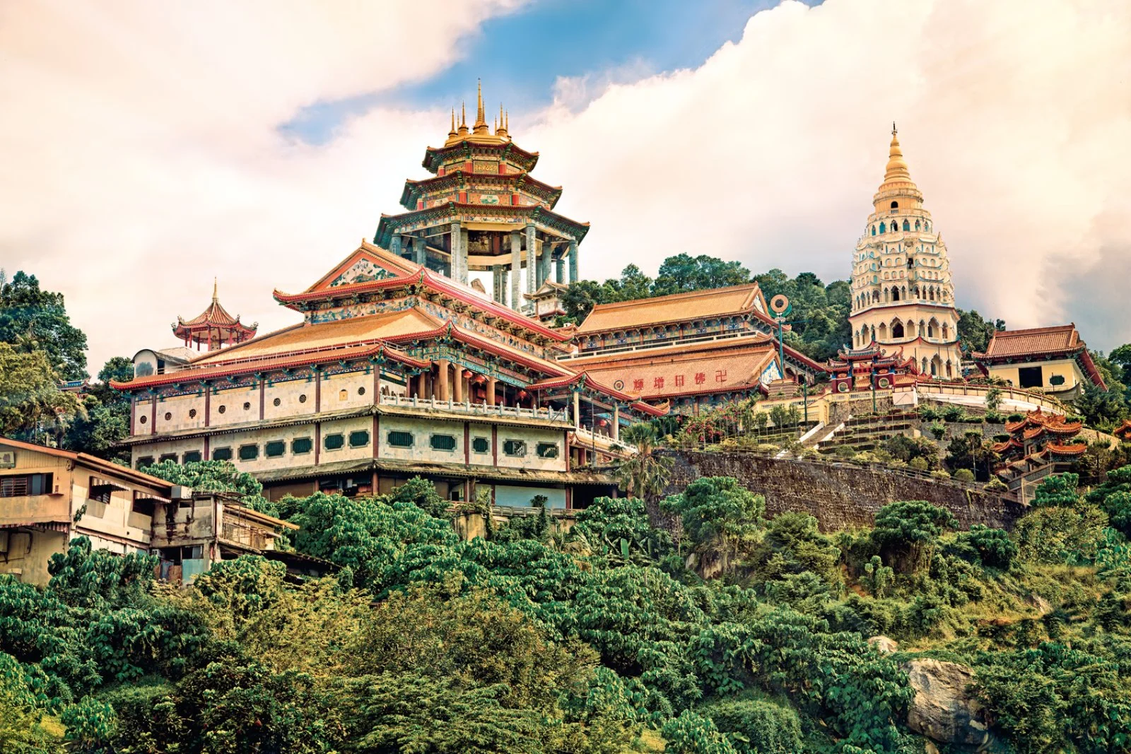Penang - Royal Belum Rainforest - immagine 1 di 3