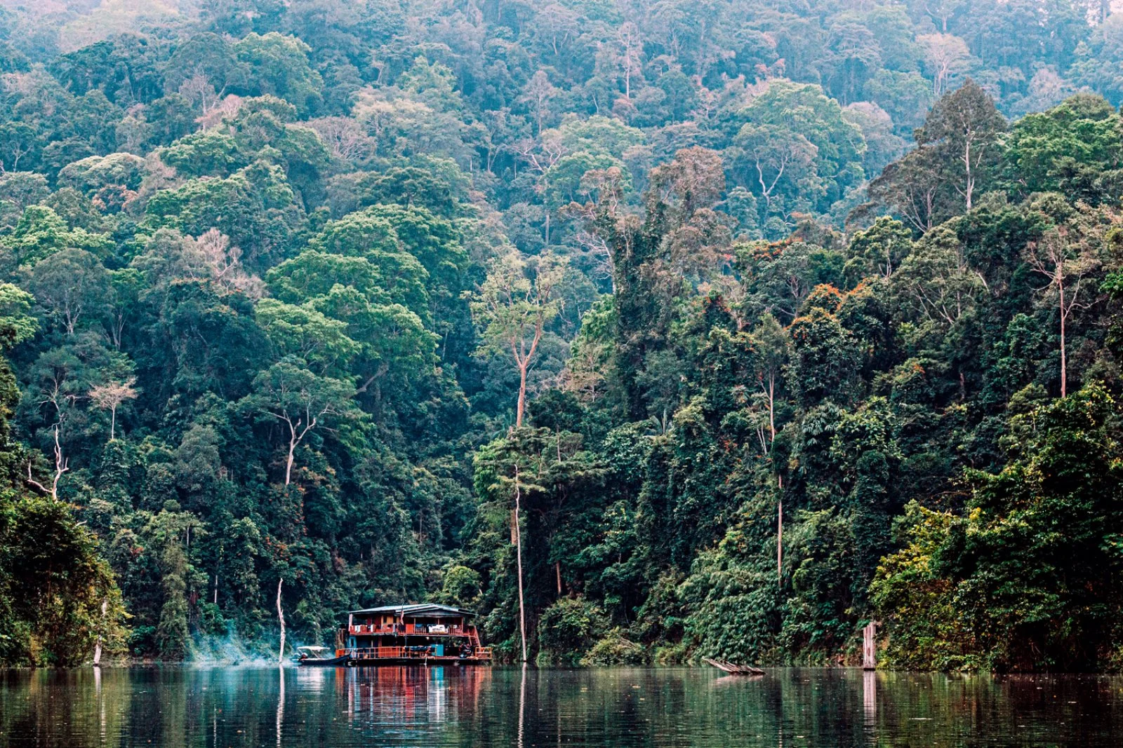 Royal Belum Rainforest - immagine 1 di 4