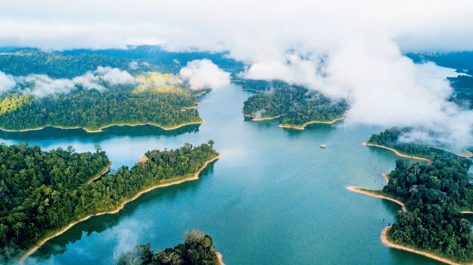 Royal Belum Rainforest - immagine 4 di 4