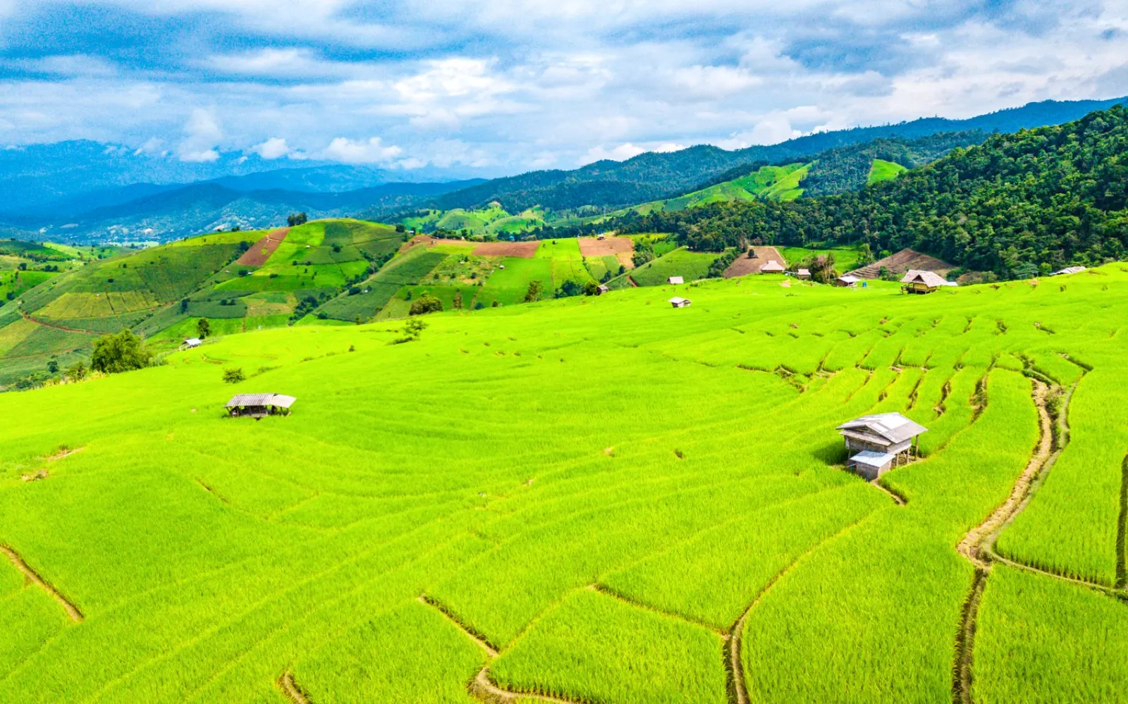 Chiang Mai - Italia - immagine 2 di 3