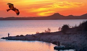 VOYAGER SOBEK – Governatorato di Luxor