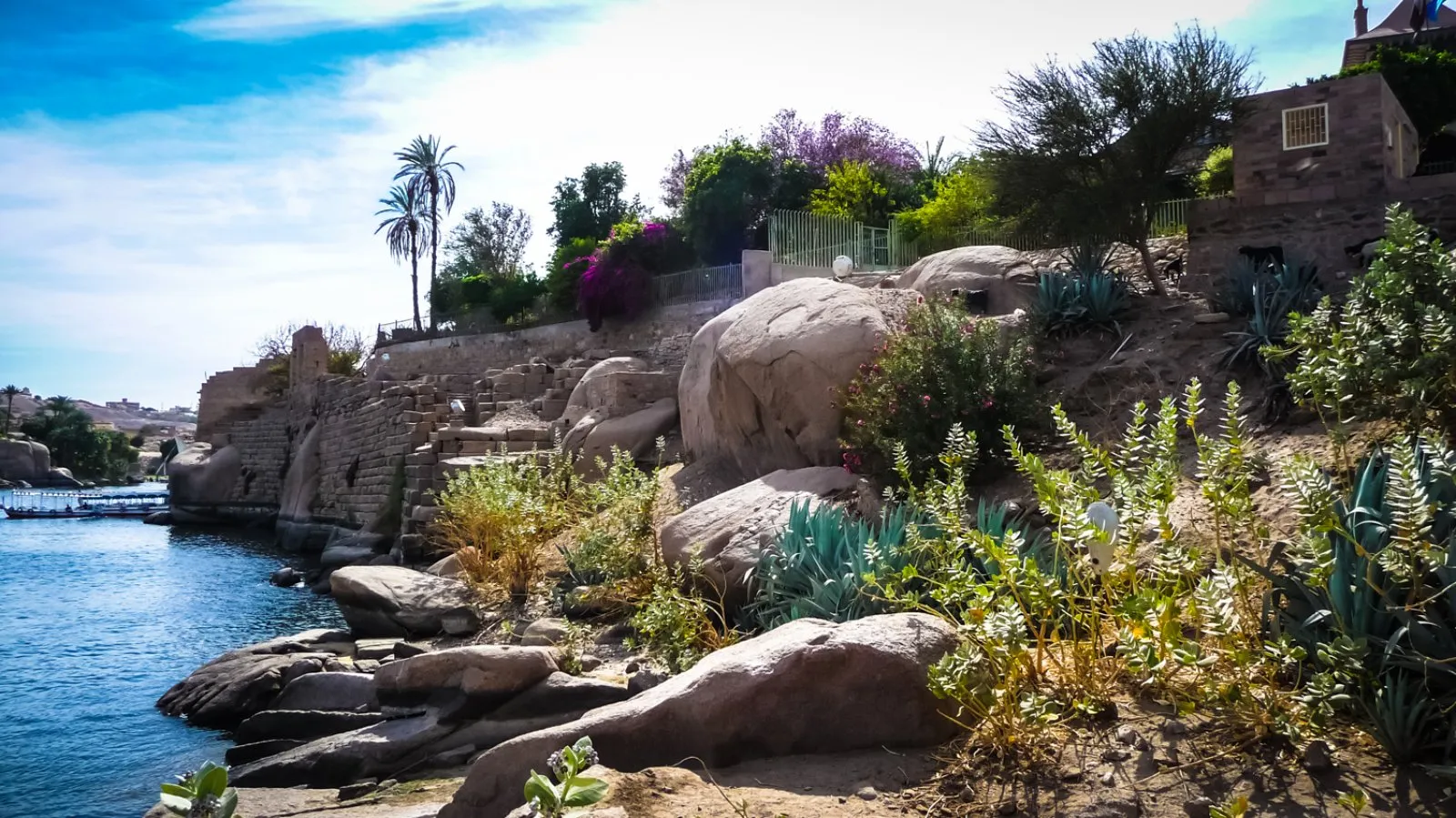 VOYAGER AMON – Governatorato di Luxor