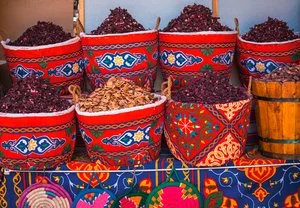 INTOUR EXPLORE I TESORI DEL NILO GIOVEDI' – Governatorato di Luxor