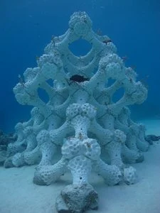 SUMMER ISLAND RESORT – Maldive