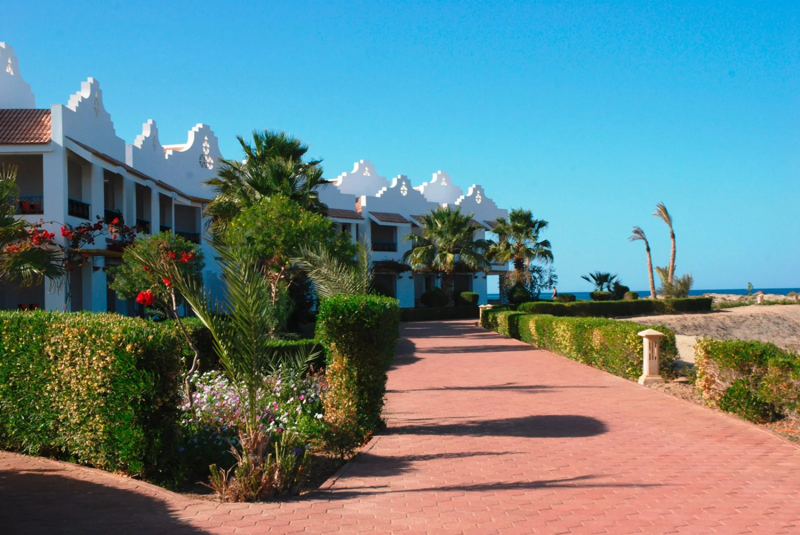 LAHAMI BAY BEACH RESORT – Shalatin