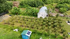 MANTA BEACH RETREAT GUESTHOUSE – Maldive