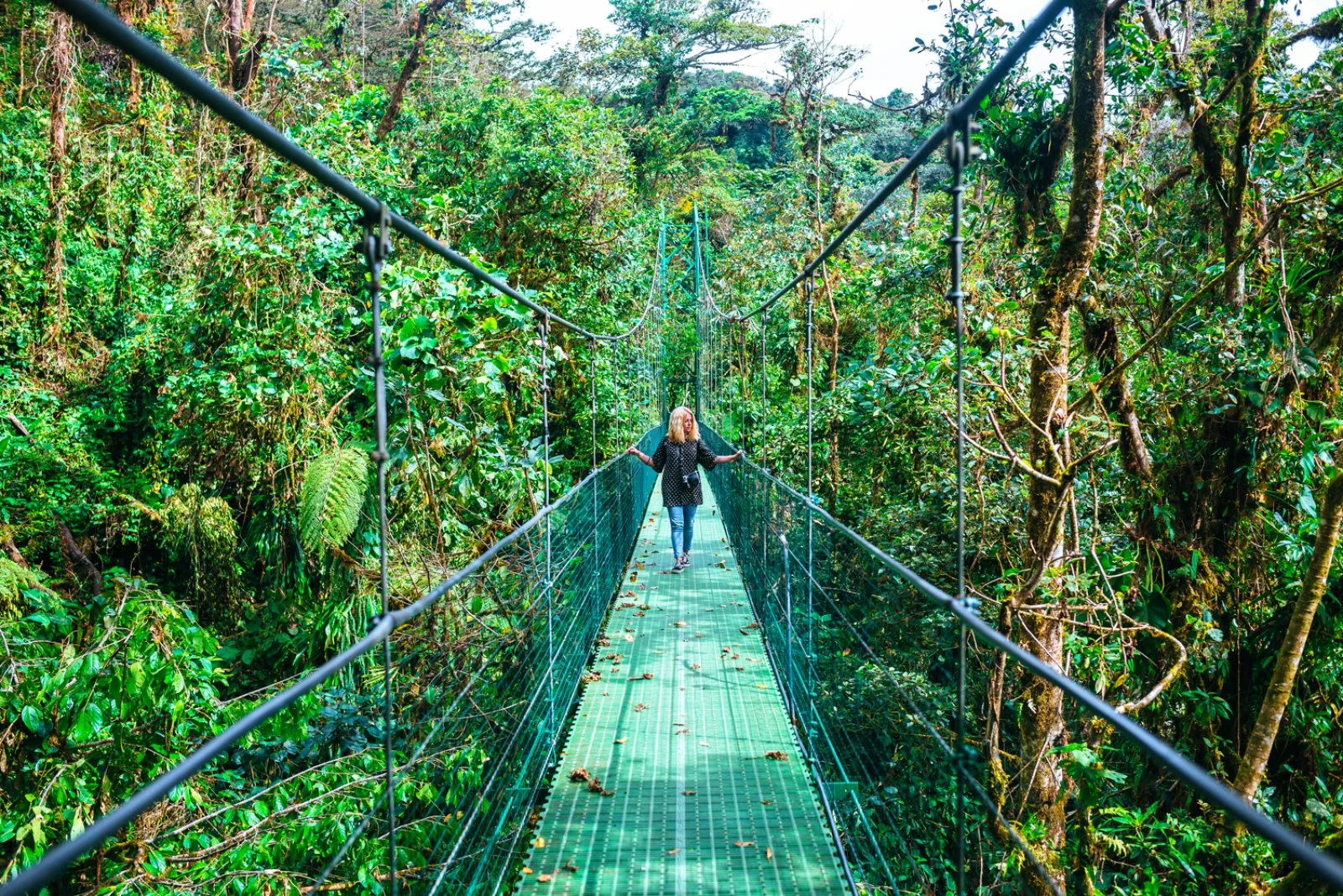 6º giorno - Arenal - Monteverde - immagine 1 di 2