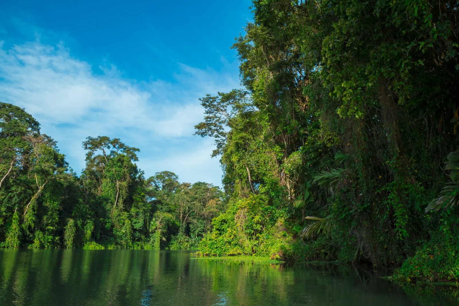2° giorno - San Josè - Tortuguero