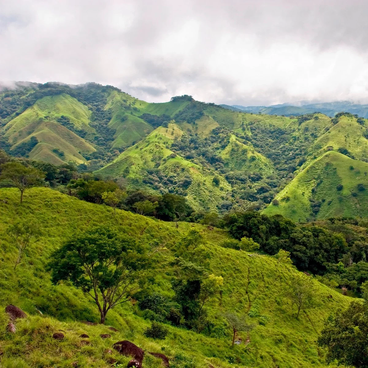 7º giorno - Monteverde Could forest - immagine 1 di 2