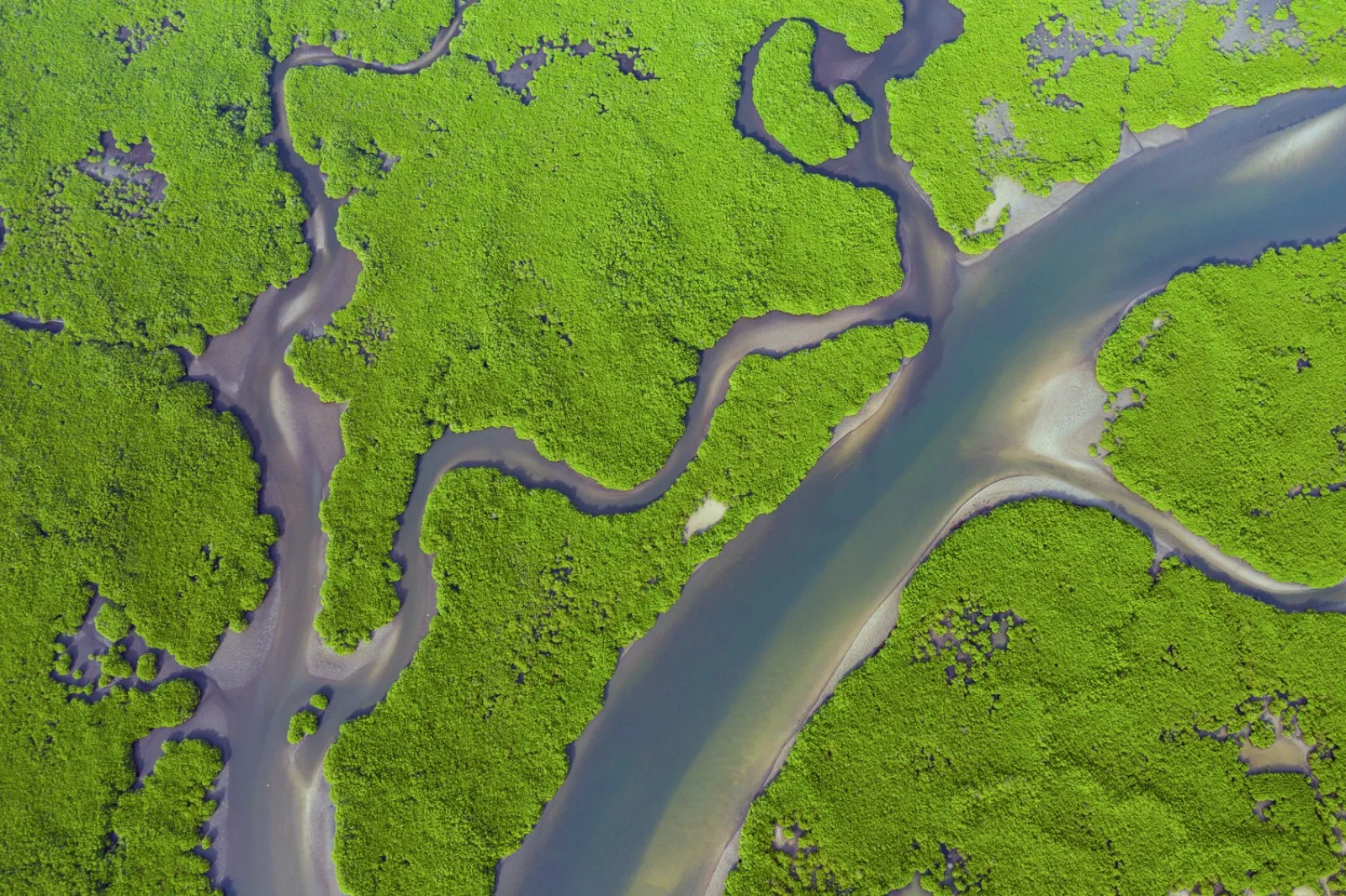 Nel cuore del Delta del Sine Saloum