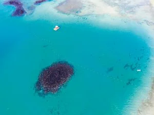 CONSTANCE PRINCE MAURICE RESORT – Poste de Flacq