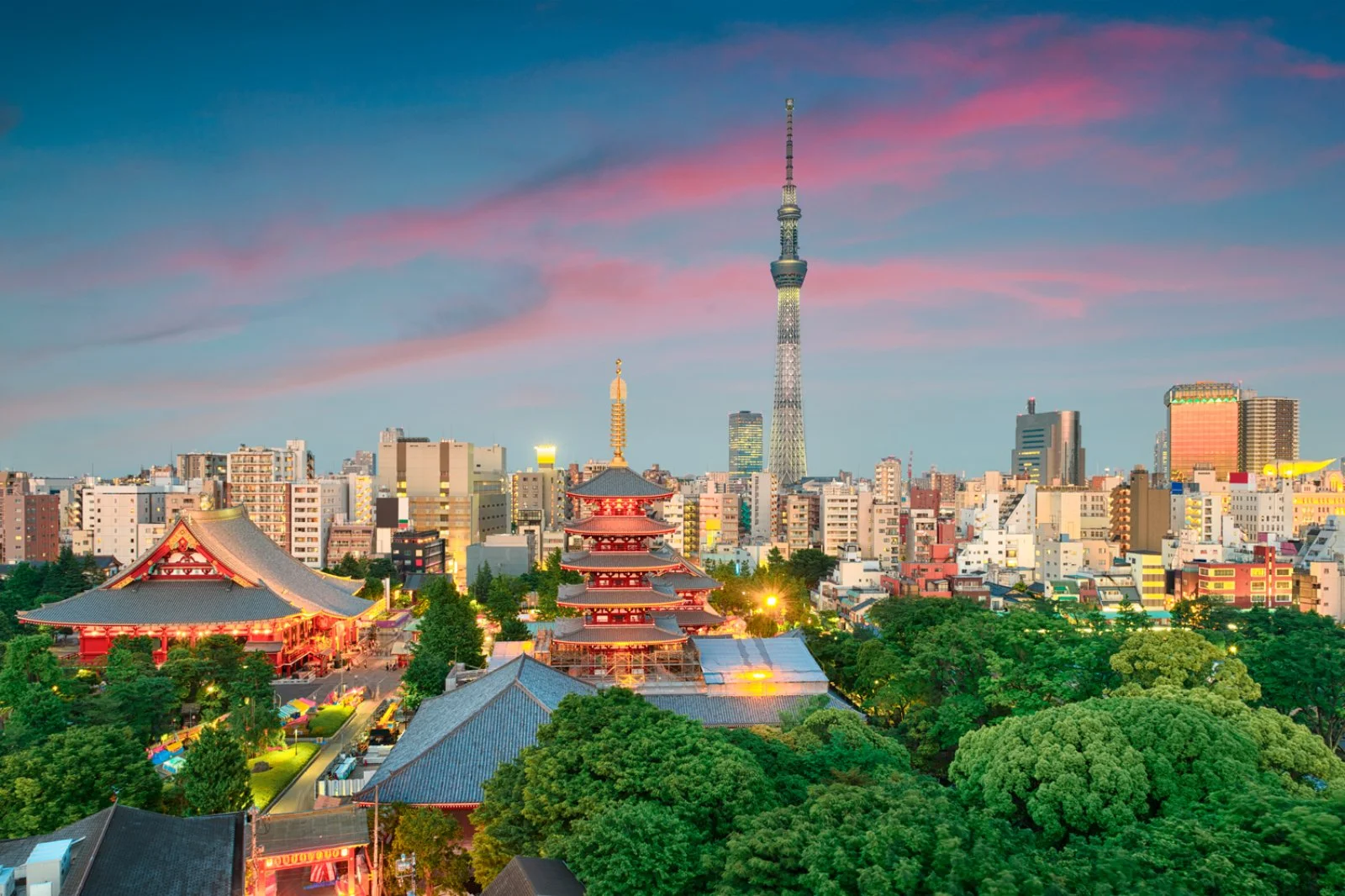 Tokyo - Italia