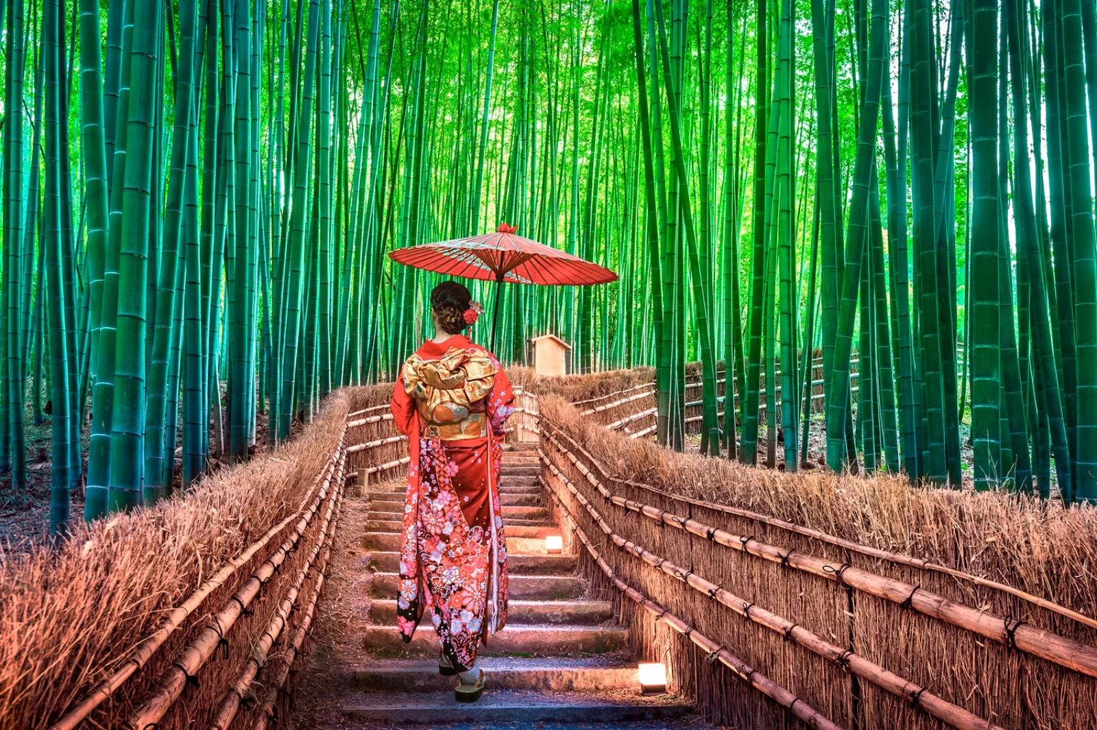 Italia - Kyoto