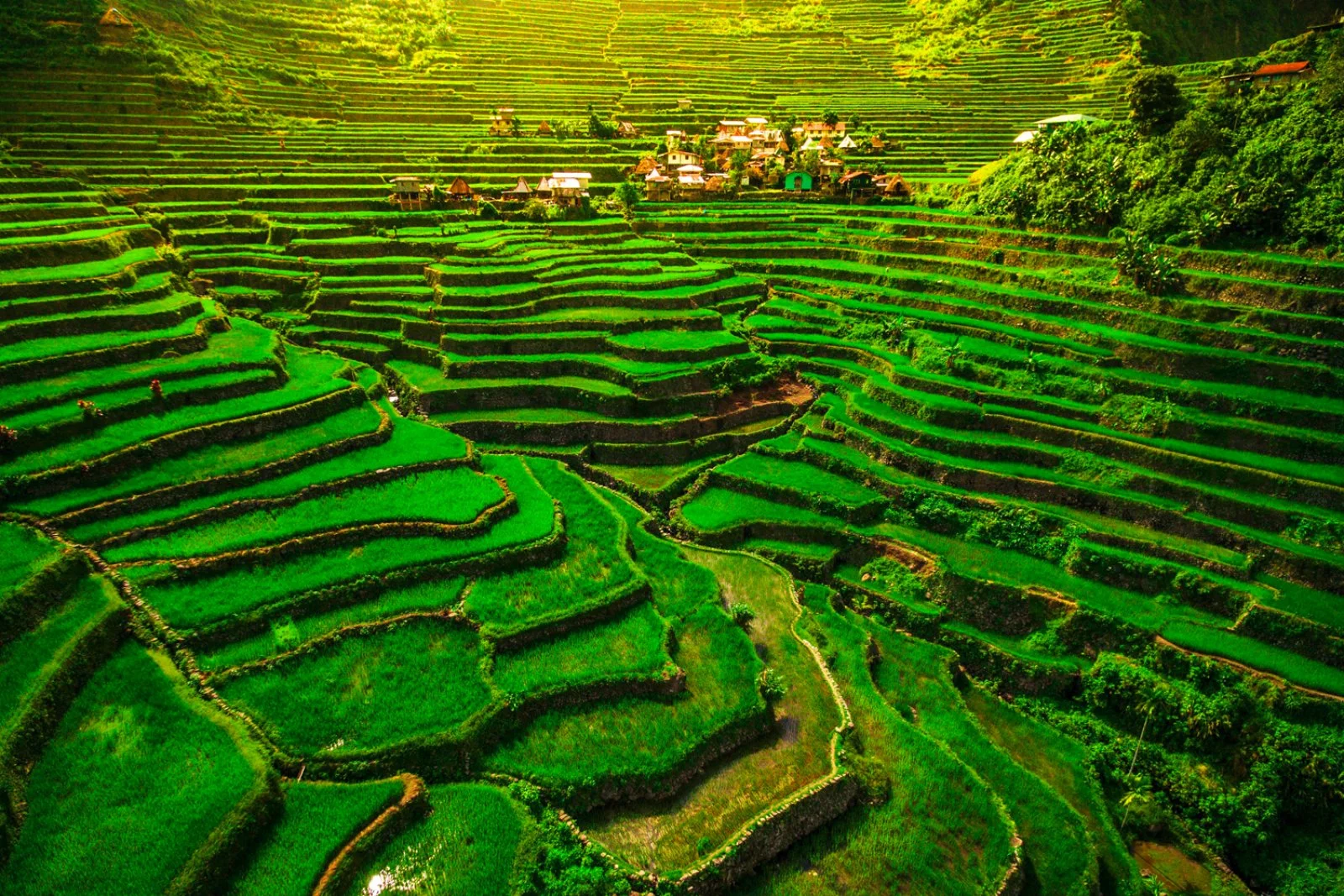 Banaue - Sagada