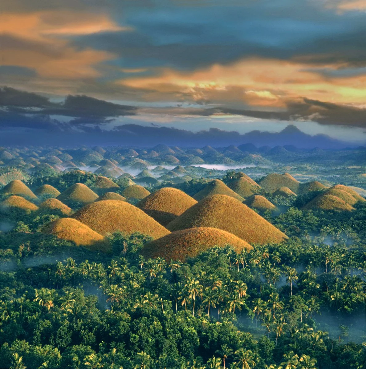 Bohol