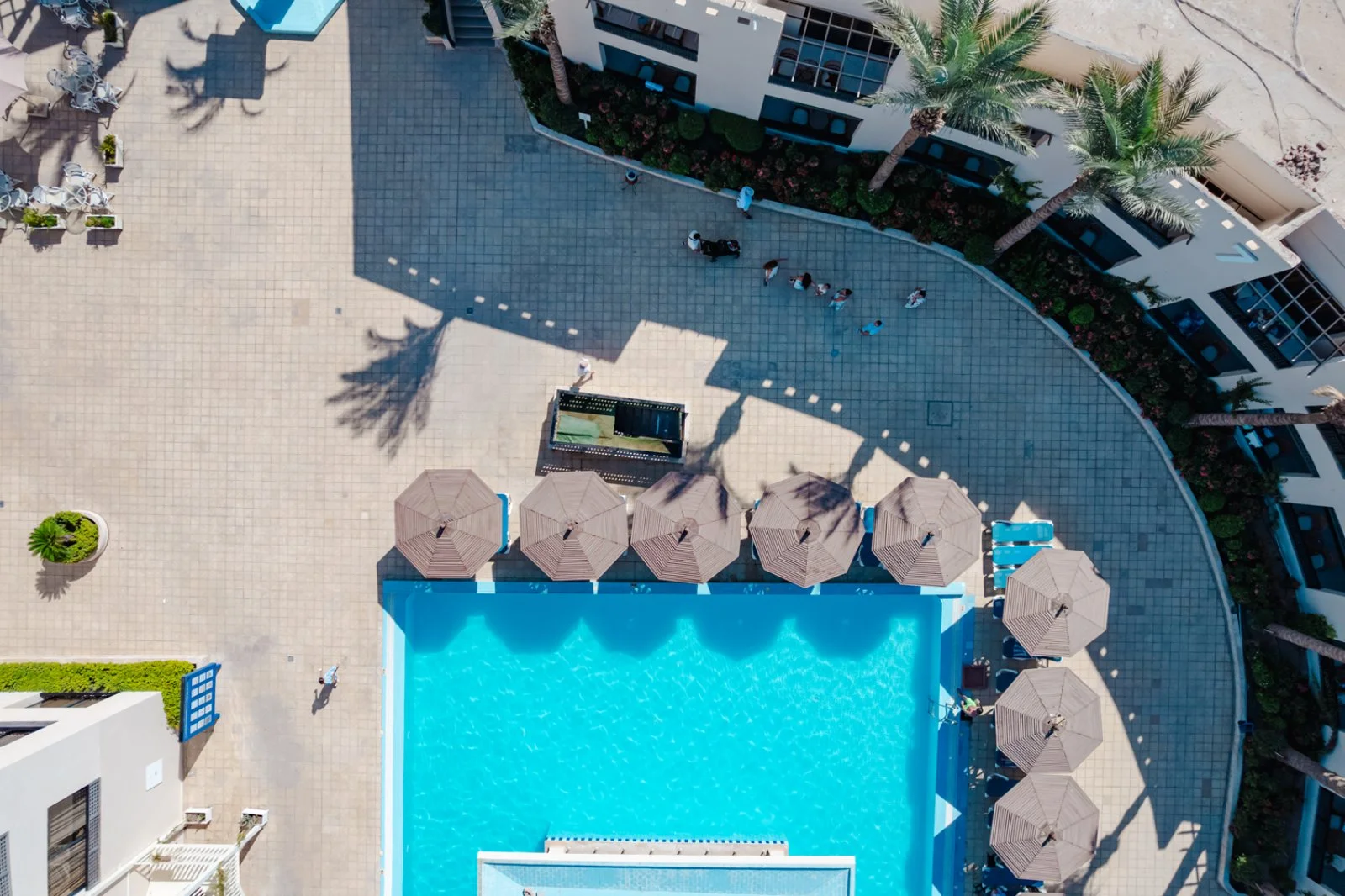blend club aqua
