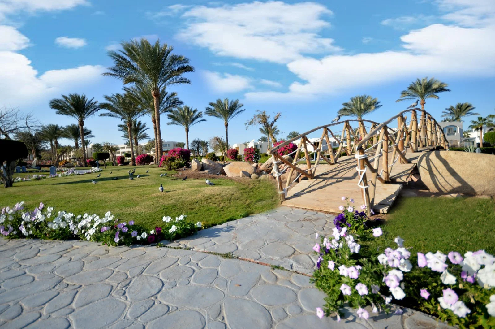AURORA ORIENTAL BEACH RESORT – Governatorato del Sinai del Sud