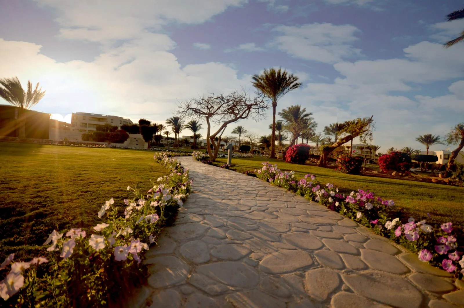 AURORA ORIENTAL BEACH RESORT – Governatorato del Sinai del Sud