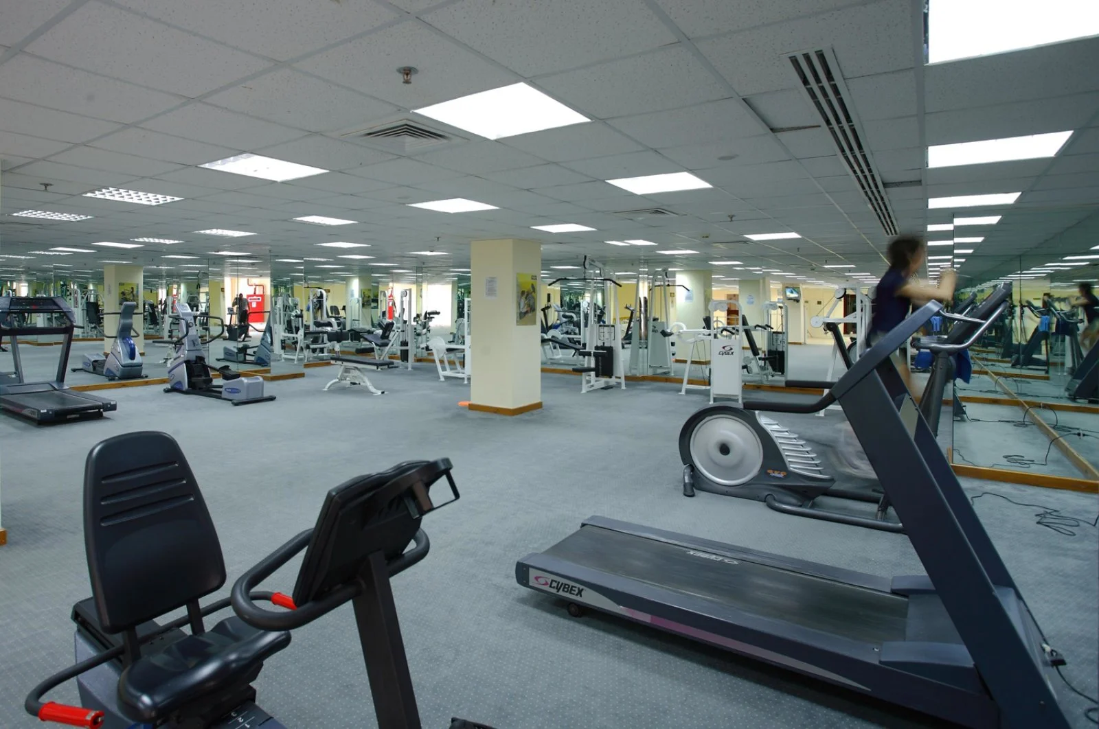 Palestra