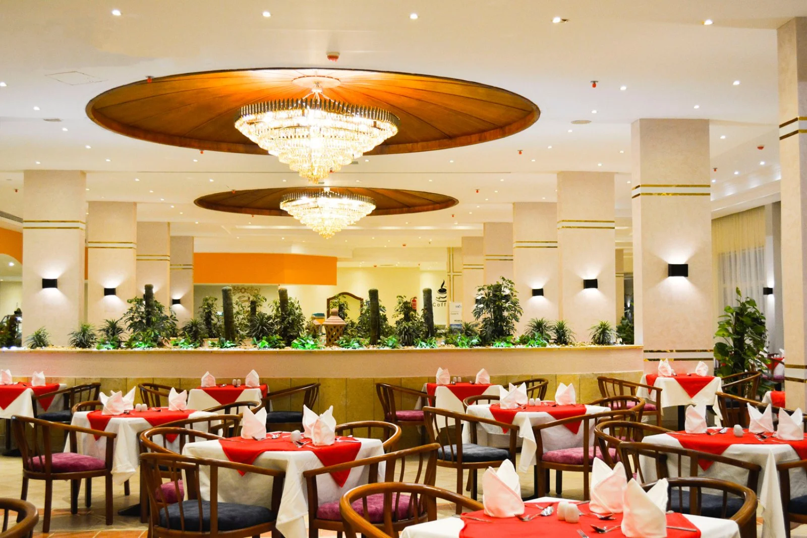 MG ALEXANDER THE GREAT BEACH RESORT – Marsa Alam