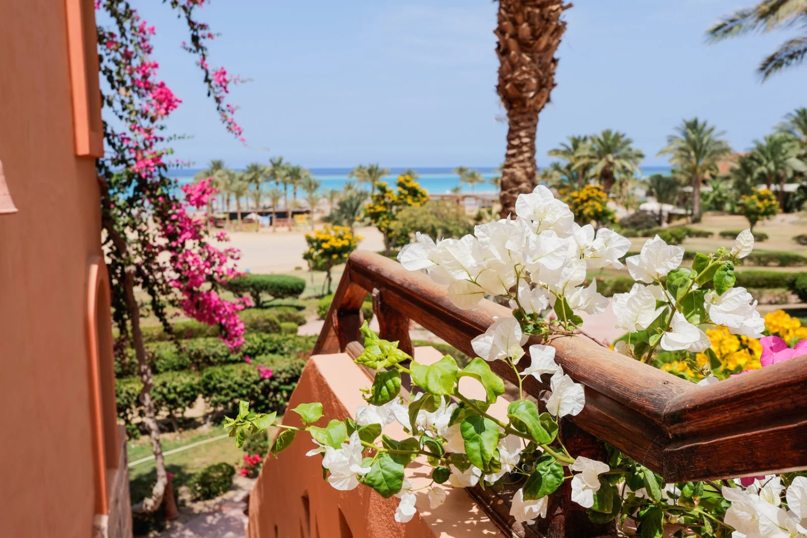 DREAM LAGOON BEACH RESORT – Governatorato del Mar Rosso