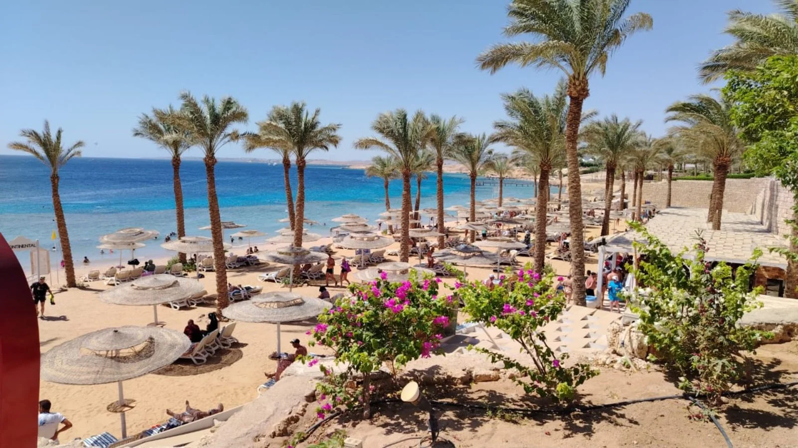 CONTINENTAL PLAZA BEACH RESORT