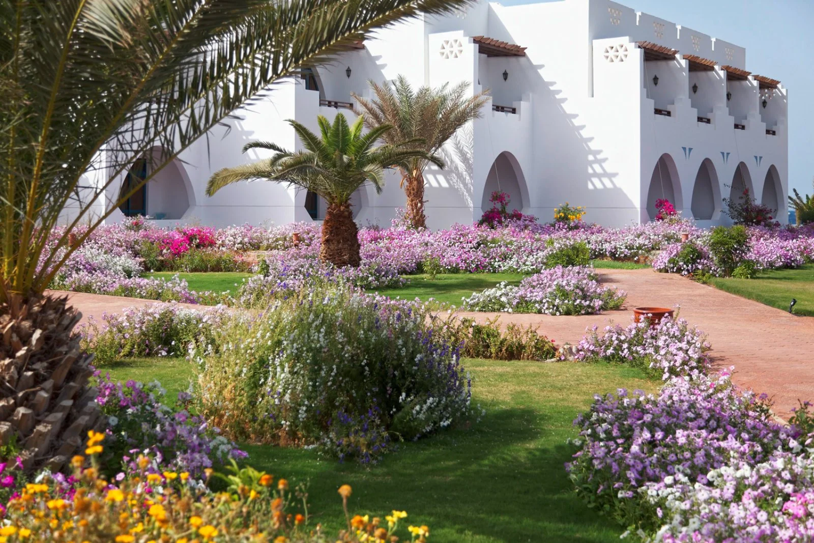 THREE CORNERS EQUINOX RESORT – Governatorato del Mar Rosso