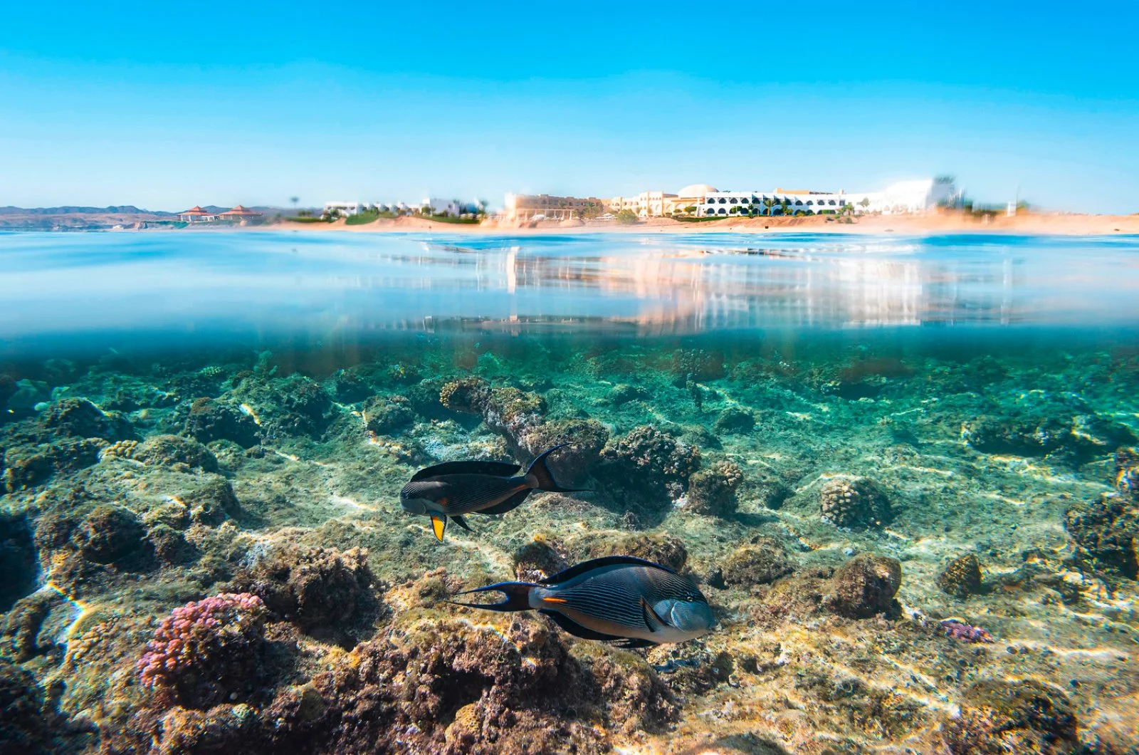 THREE CORNERS EQUINOX RESORT – Governatorato del Mar Rosso