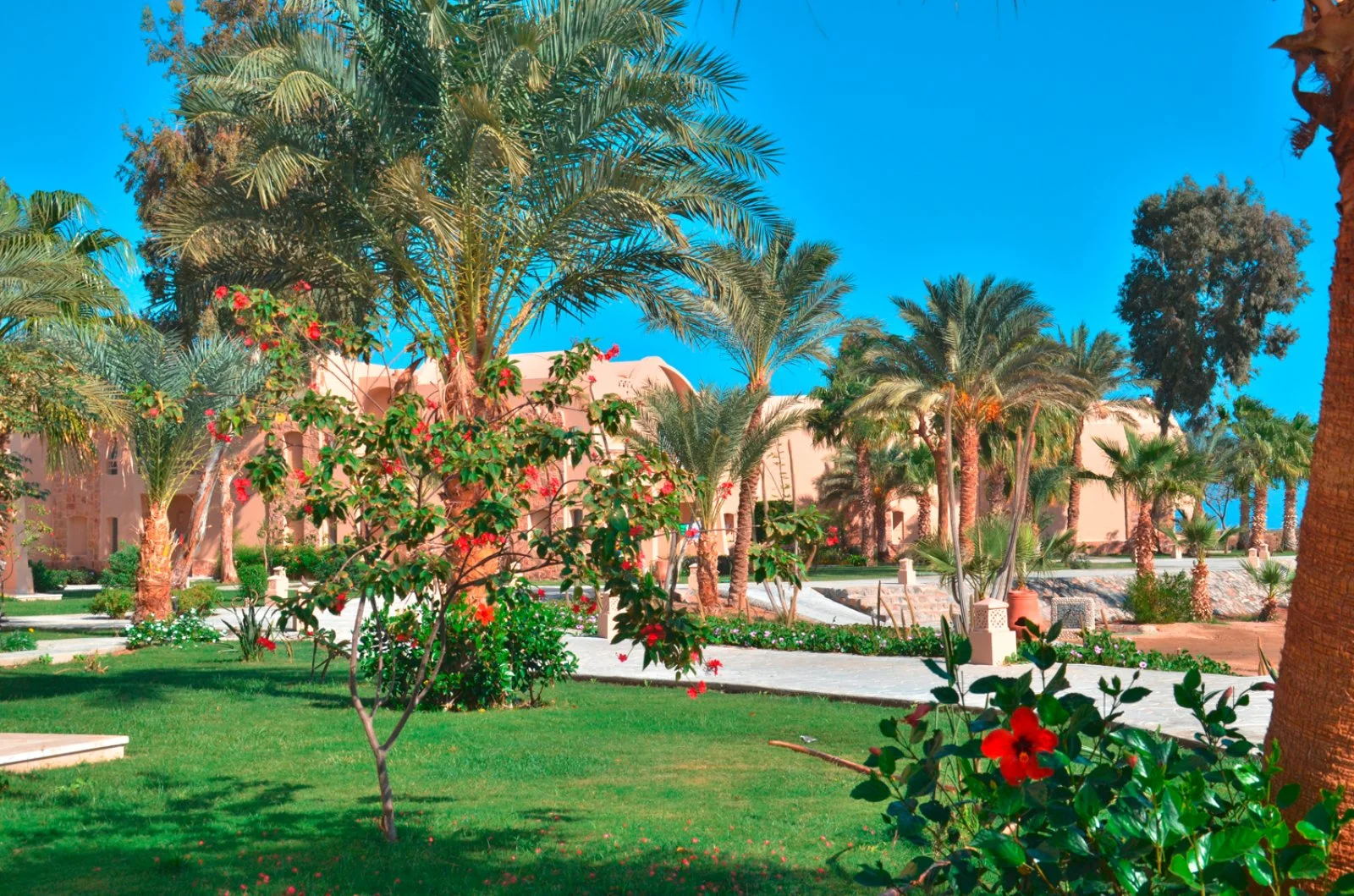 SHAMS ALAM BEACH RESORT – Governatorato del Mar Rosso