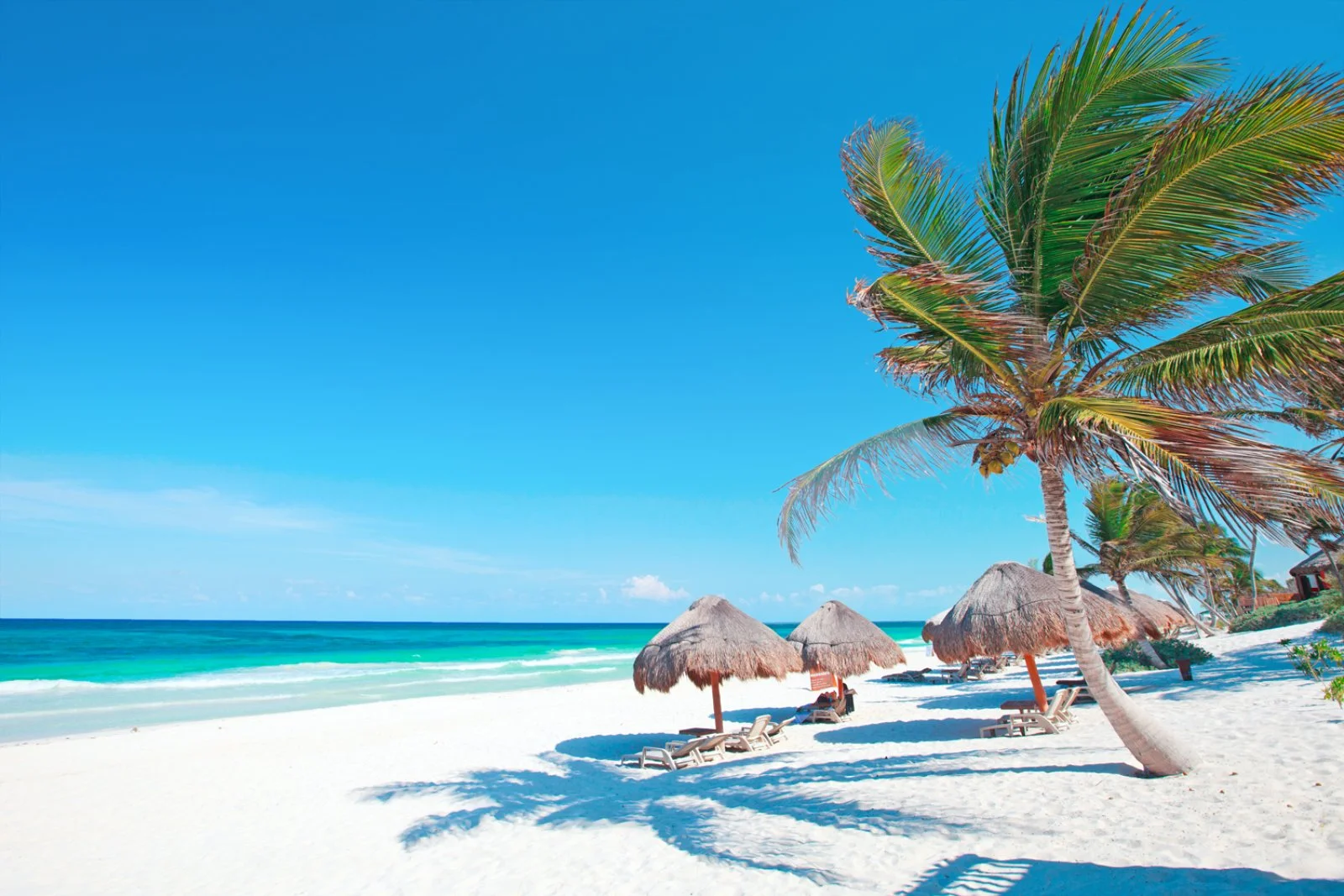Valladolid - Chichen Itza - Cenote Dzitnup - Riviera Maya - immagine 4 di 4