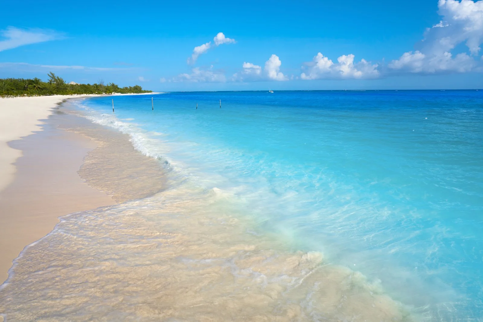 Riviera Maya - immagine 2 di 2