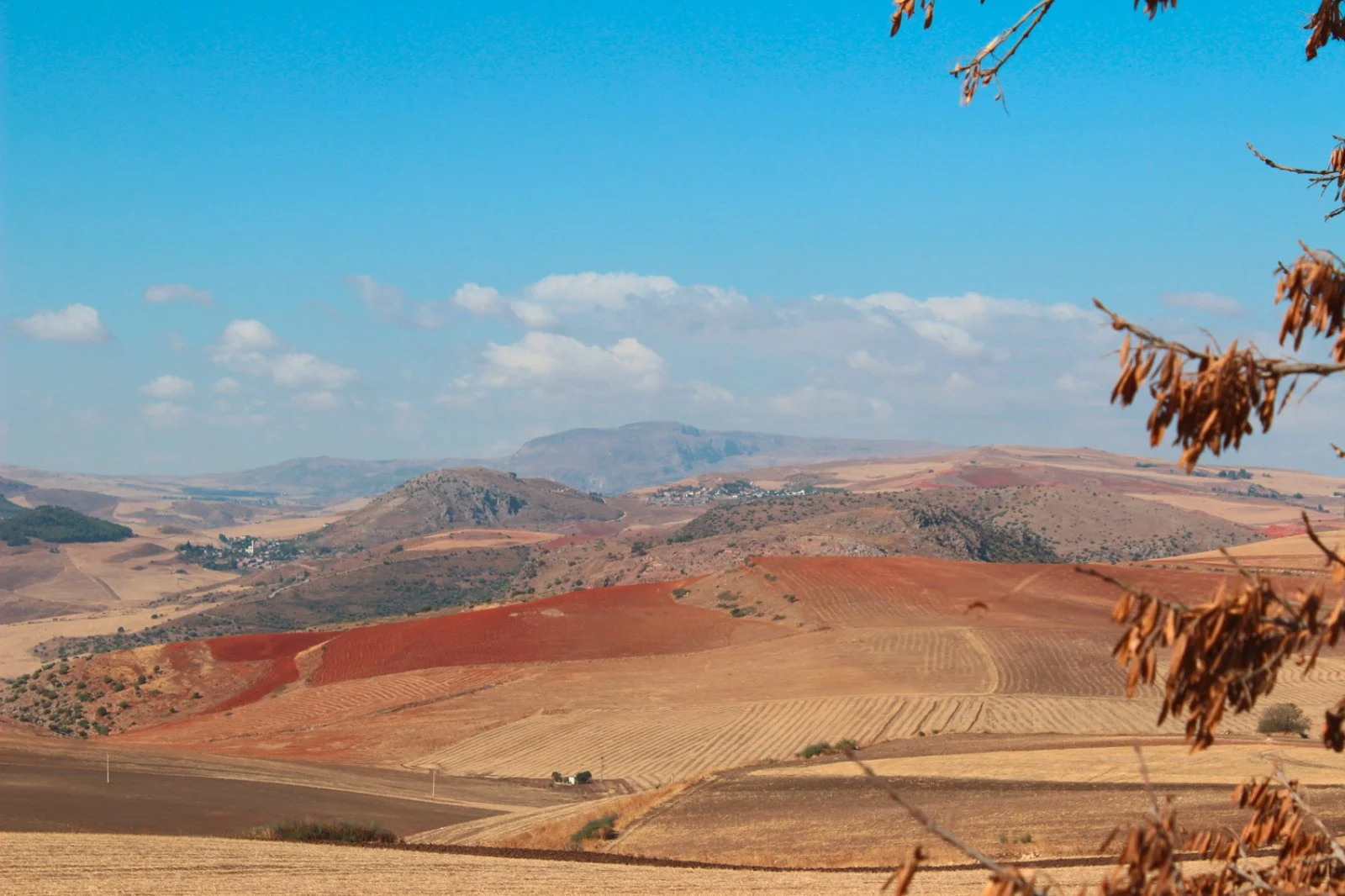 Timgad - Tiddis - Costantina - immagine 2 di 3