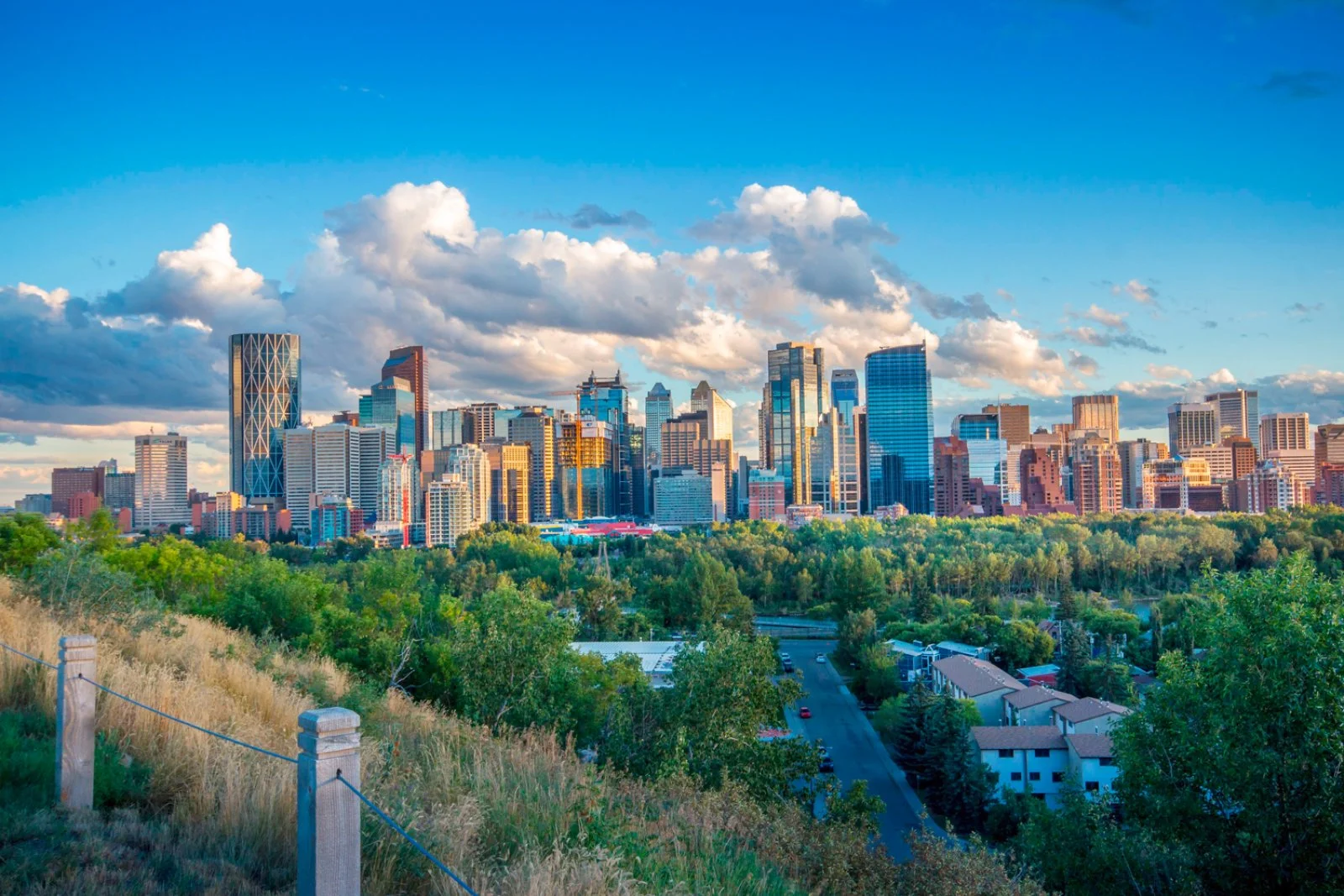Italia - Calgary