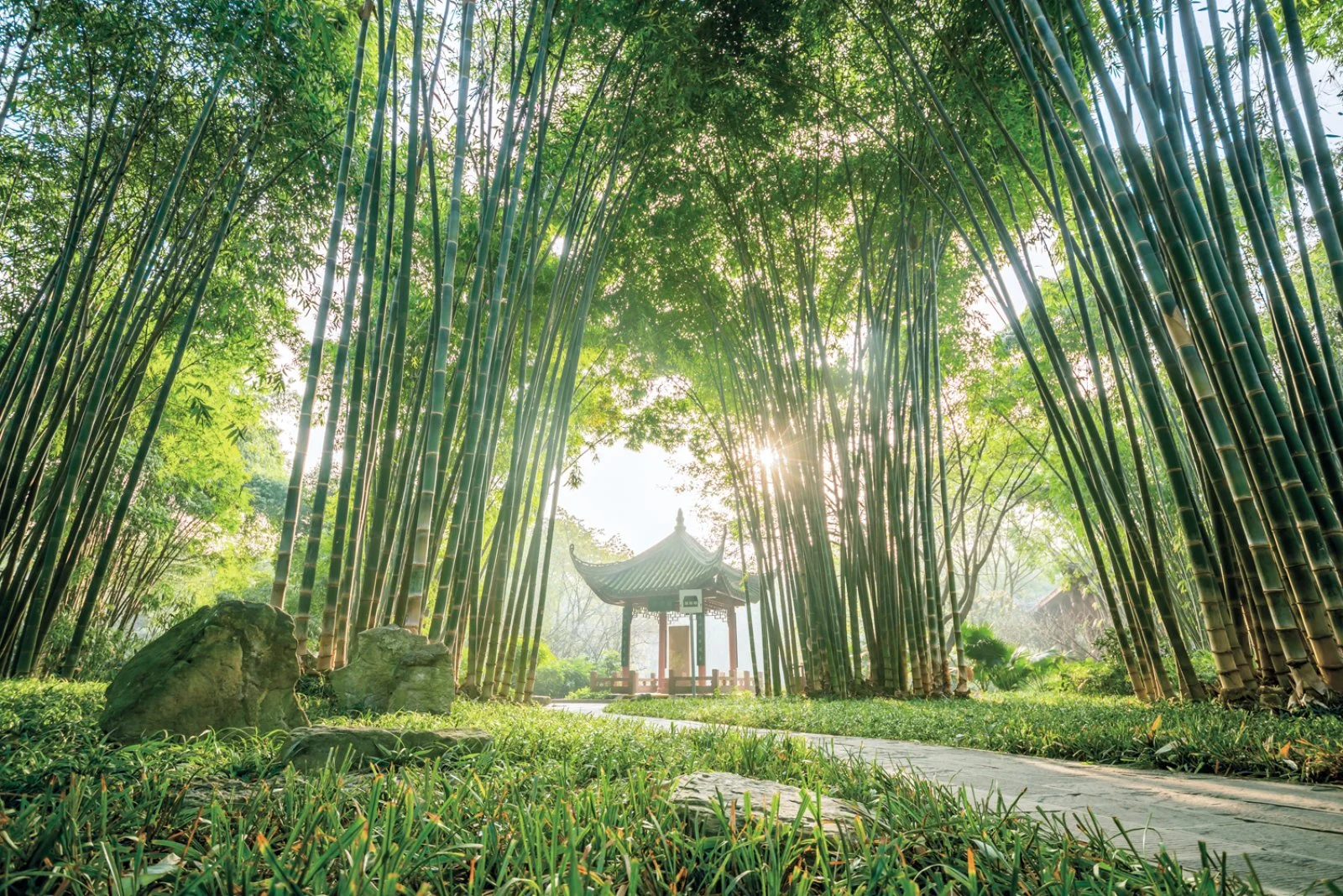 10° giorno Shanghai - Chengdu