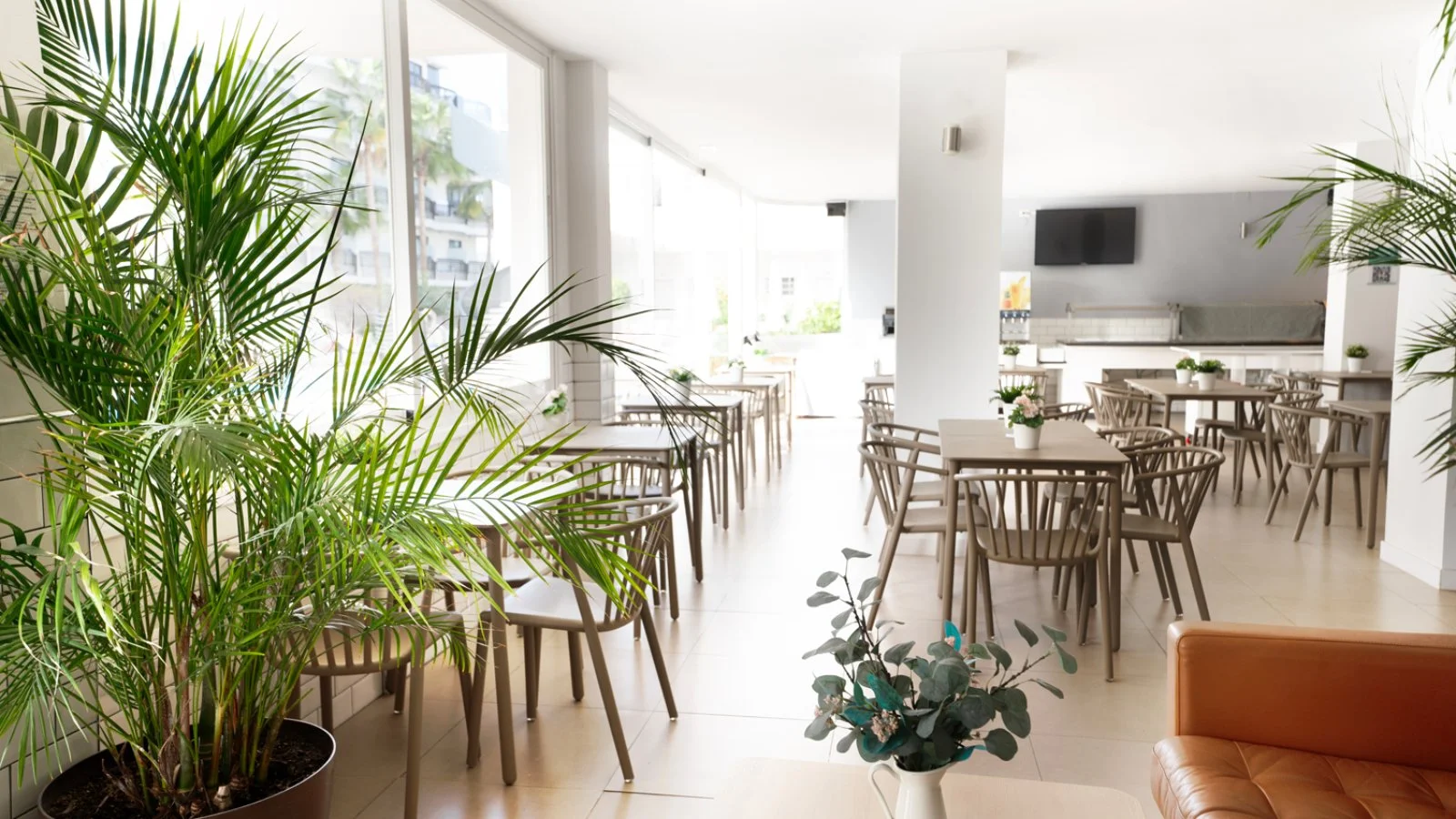 APPARTAMENTI CORAL CALIFORNIA – Los Cristianos
