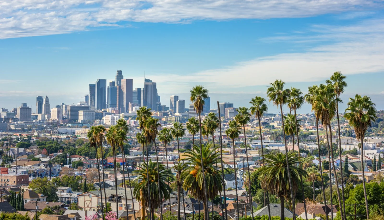 Los Angeles - Las Vegas - immagine 1 di 2