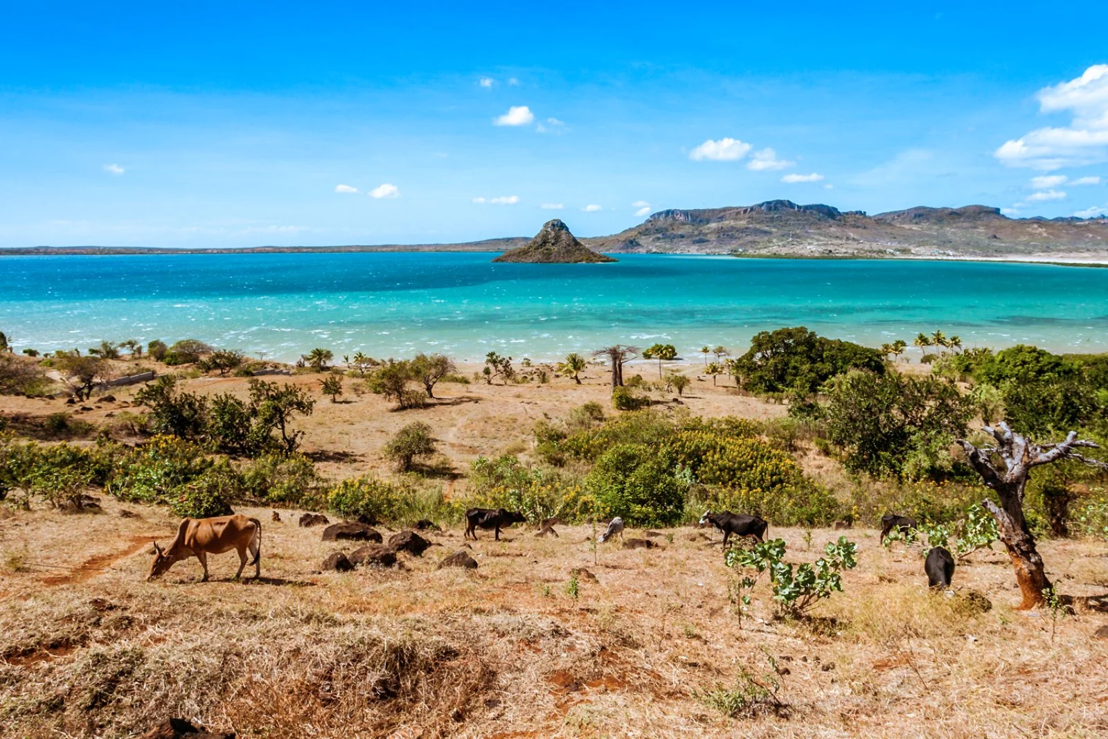 Diego Suarez/Mare di Smeraldo/Diego Suarez (40 km) - immagine 4 di 4