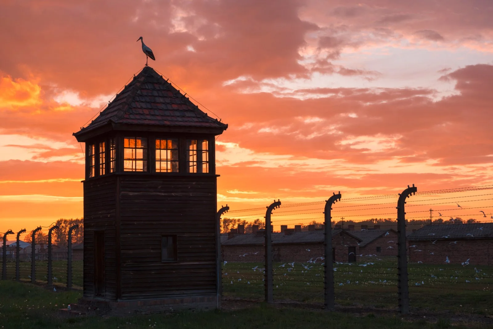 Auschwitz