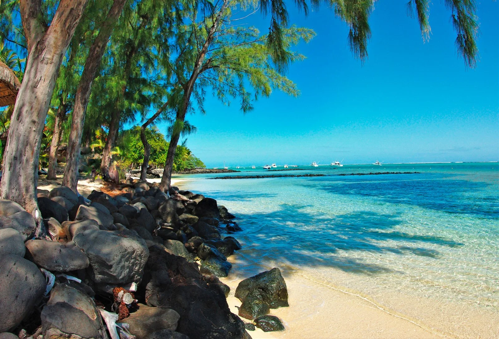 Mauritius - immagine 1 di 2