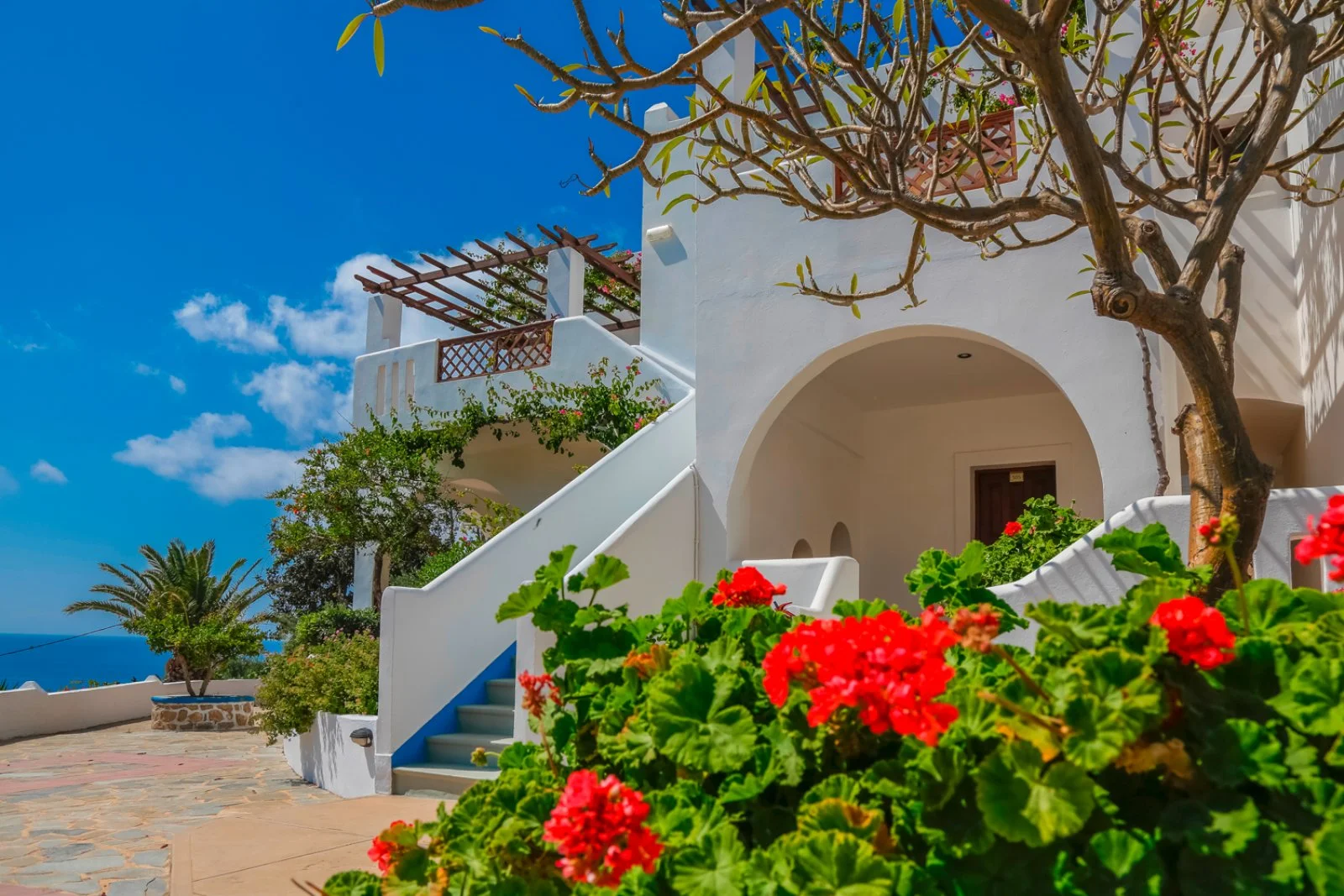ALPISELECT AMOOPI BAY – Lakki