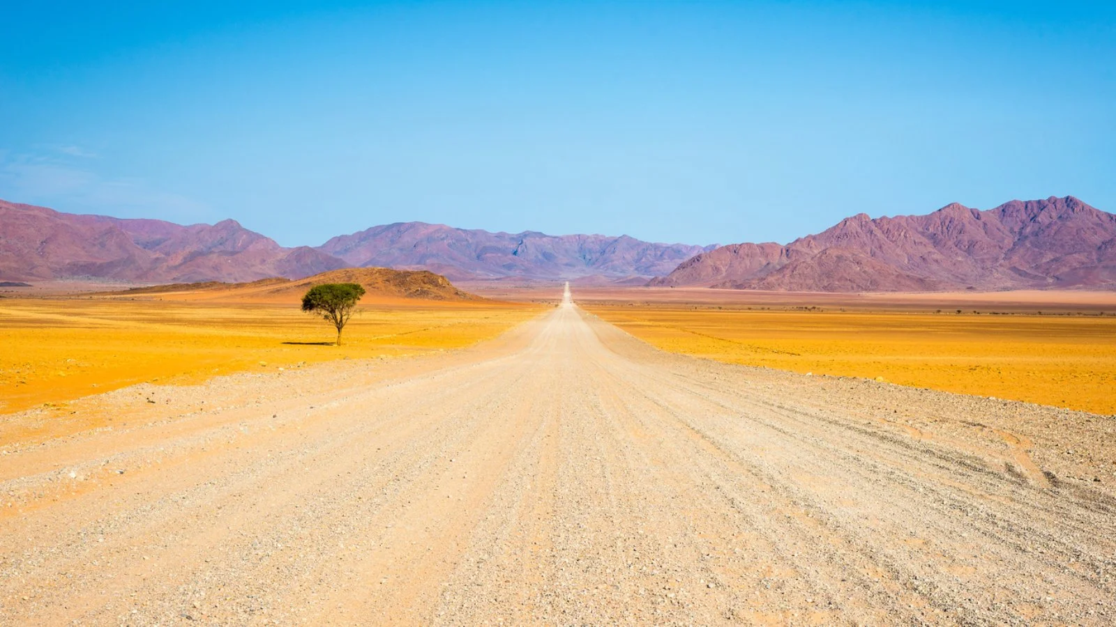 Deserto del Kalahari - Parco nazionale di Namib - Naukluft