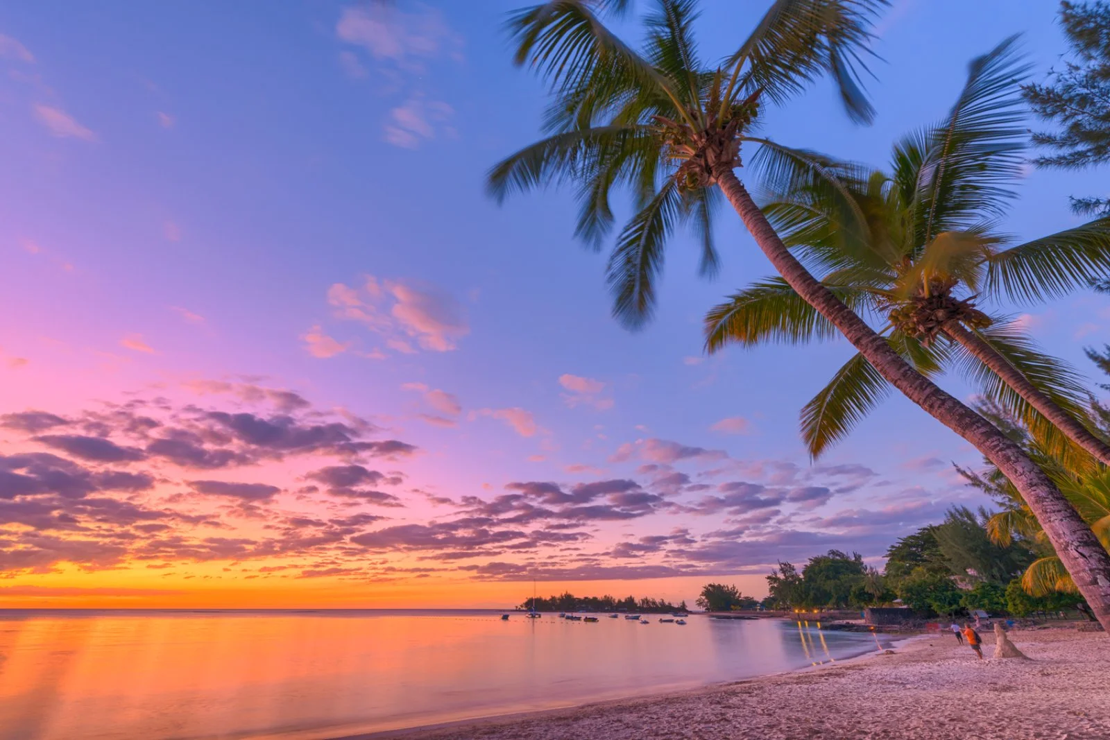 Mauritius - immagine 3 di 3