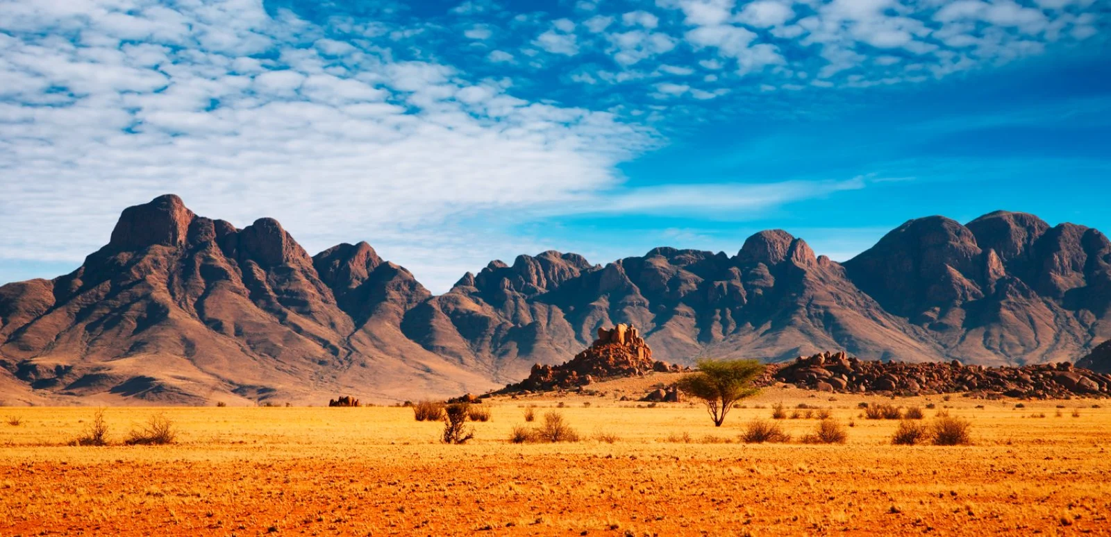Windhoek - Deserto del Kahalari - immagine 2 di 2