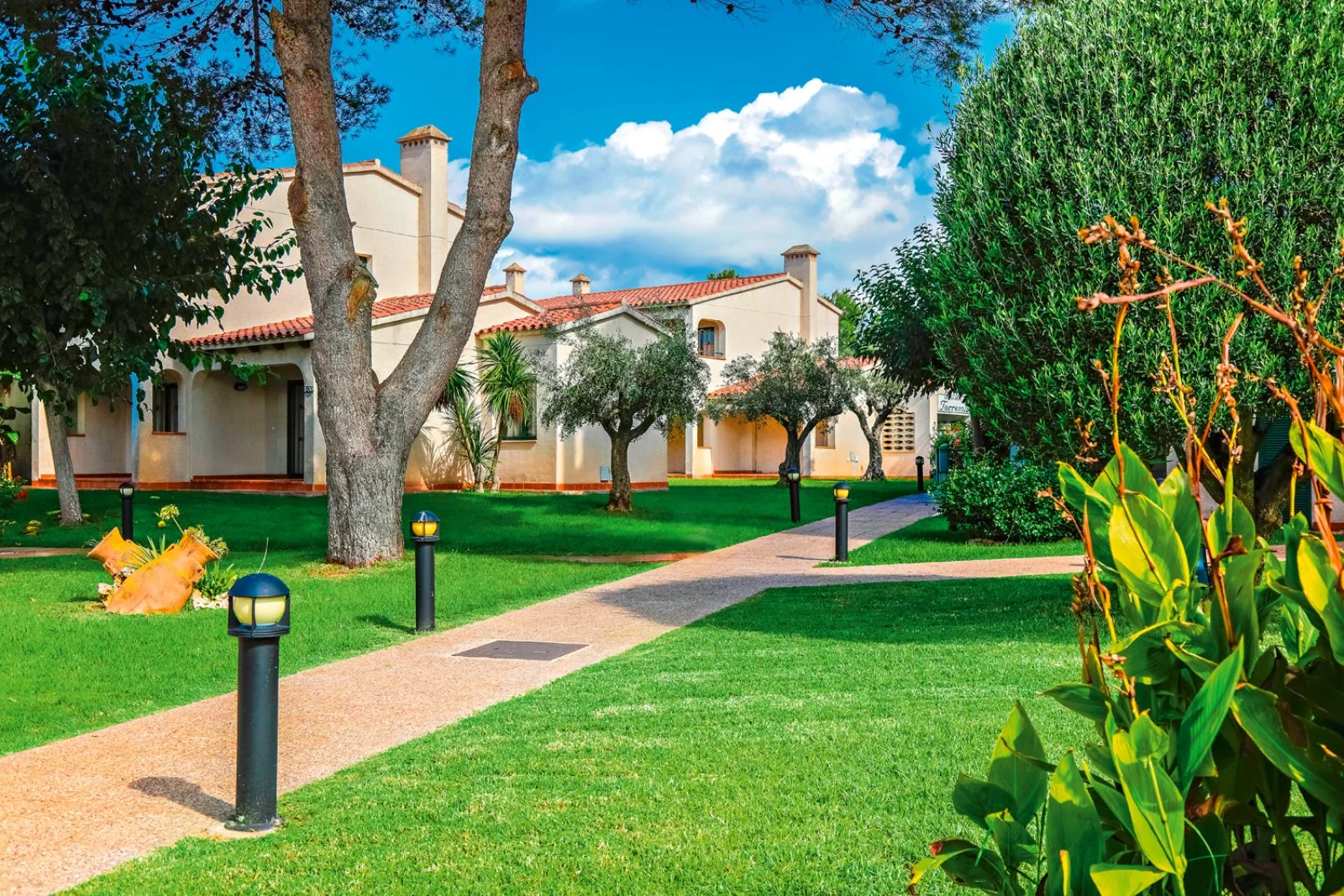 ALPISELECT VALENTIN SON BOU – Alaior