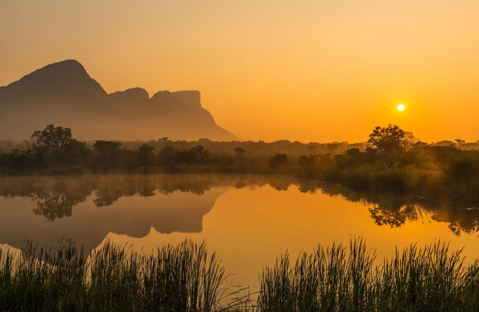 Johannesburg - Hoedspruit - Riserva di Moditlo - immagine 1 di 5