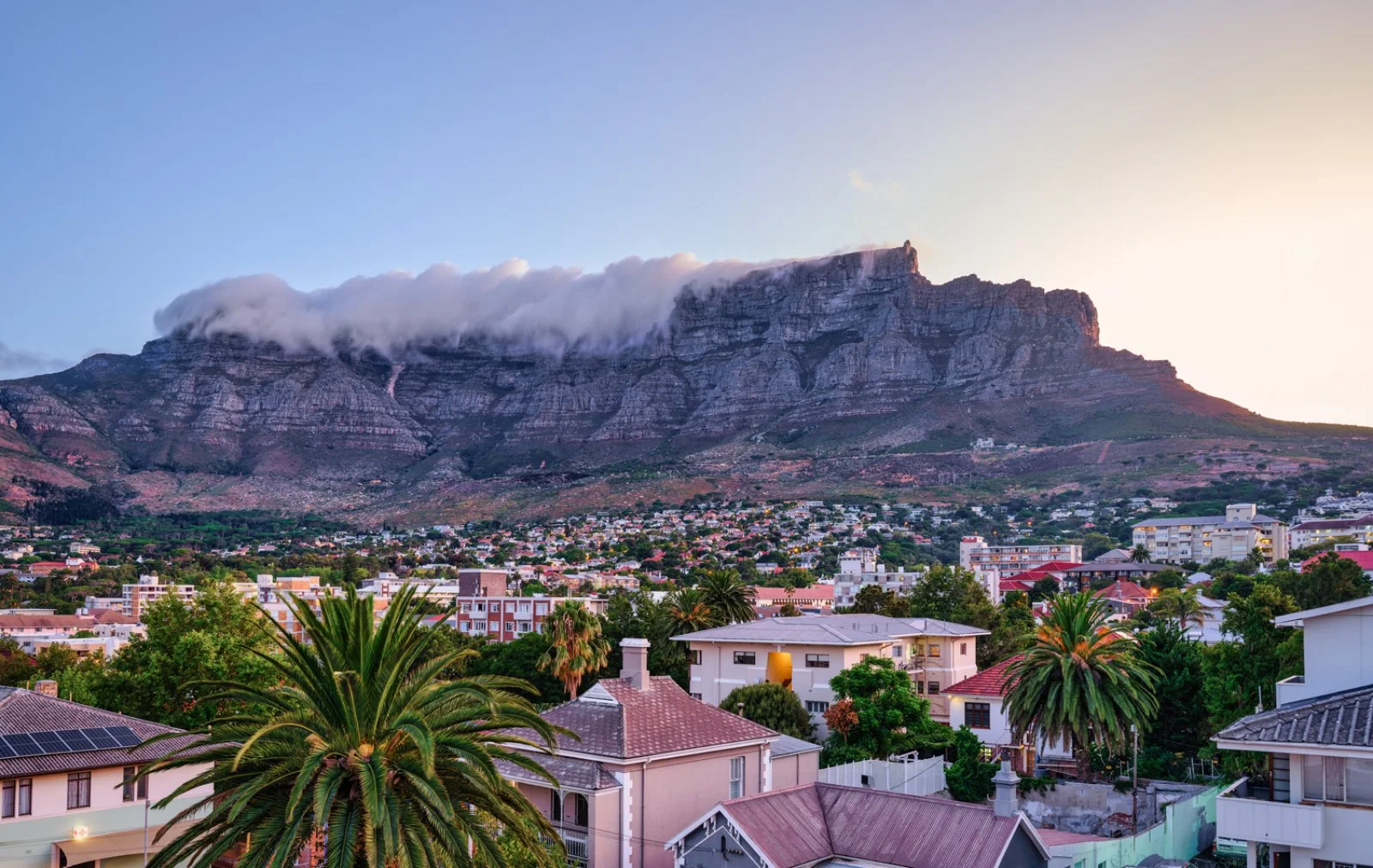 Città del Capo - Winelands - Stellenbosch - immagine 5 di 5