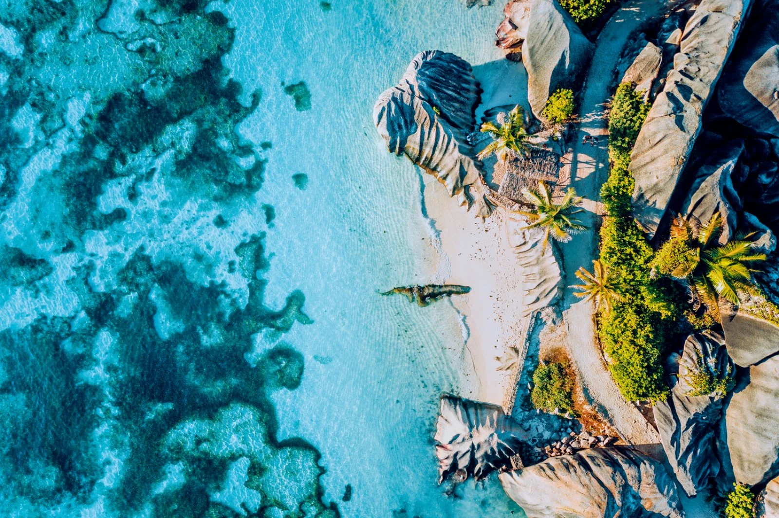 Seychelles - immagine 2 di 4