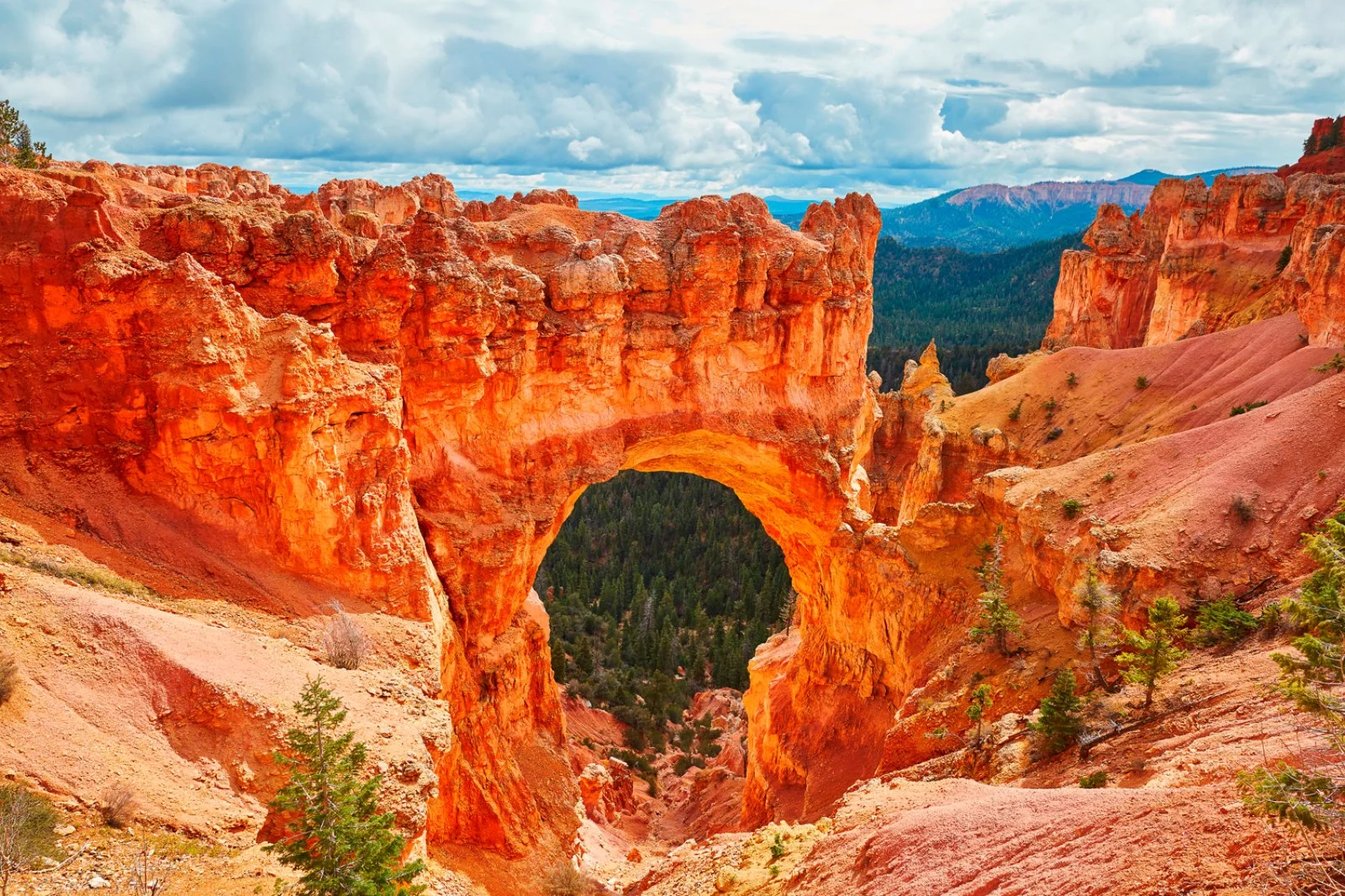 Las Vegas - Bryce Canyon - immagine 1 di 2